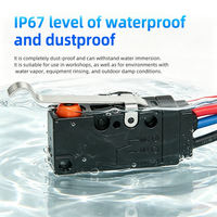 Micro-interrupteur étanche WZ100A04-W2, avec fil de connexion, étanchéité IP67, différents styles disponibles - Vente directe d'usine