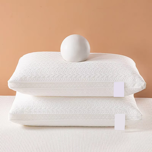 Bán Sỉ Ba Kích Thước Đôi Bên Nhung Mềm Làm Đầy Gối Core Dệt Kim Bìa Polyester Điền Gối Cho Ngủ - Product Image 2