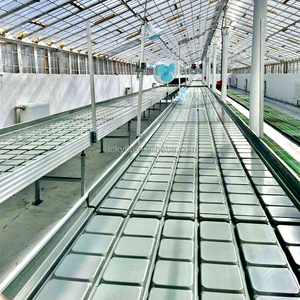 Serra idroponica agricola riflusso tavolo semenzaio vivaio attrezzatura mobile coltivare tavolo - Product Image 2