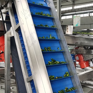 Đóng hộp dưa chuột tươi đóng hộp trộn rau Muối bé dưa chuột chọn dòng sản phẩm dưa chuột - Product Image 5