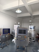 Máquina de Inspección de Alimentos por Rayos X de Alta Sensibilidad Torzn, Protección IP65, 80-120KV, 0.3mm, Detecta Metal, Vidrio y Piedra en Empaques a Granel