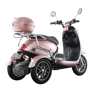 Scooters eléctricos de 3 ruedas, movilidad, controlador de patinete eléctrico, 48v, triciclo eléctrico, motocicleta, 500w