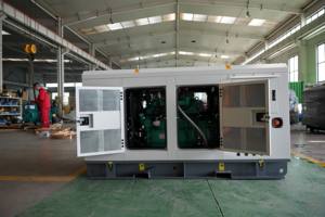 גנרטור שקט <span class=keywords><strong>10</strong></span> קילוואט מסוג טבעי עם 400V/230V 50/60 הרץ, יעילות 95%, בקרת ATS מרחוק, חד פאזי - Product Image 3