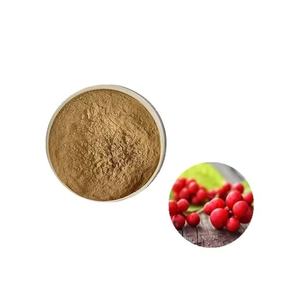 Экстракт ягод Chinensis порошок экстракт Schisandra Chinensis порошок 1%-5% общий порошок - Product Image 5