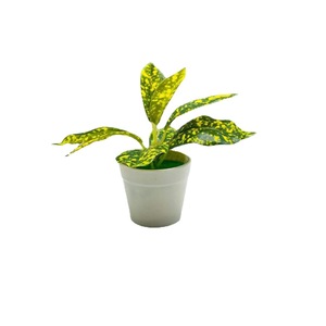 Plantes artificielles en pot, style mini bonsaï, verdure en plastique pour la décoration de la maison, du bureau ou du bureau à domicile, hauteur 13 cm, fabriqué en Chine - Product Image 5