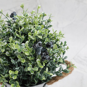 Plantes artificielles d'<span class=keywords><strong>eucalyptus</strong></span> en <span class=keywords><strong>pot</strong></span> miniature de 25 cm pour la décoration de table intérieure, <span class=keywords><strong>pot</strong></span> en pulpe, plastique, faux romarin vert - Product Image 5