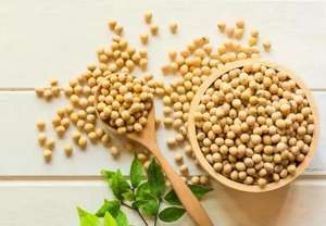 Extrait <span class=keywords><strong>de</strong></span> germe <span class=keywords><strong>de</strong></span> <span class=keywords><strong>soja</strong></span> en vrac, poudre d'isoflavones <span class=keywords><strong>de</strong></span> <span class=keywords><strong>soja</strong></span> - Product Image 2