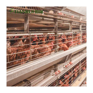 Kanatlı Kümesi Ekipmanları Hayvan Kafesleri Yumurta Tavuğu Kafesi Modern Tasarım H Otomatik Sistem Galvanizli Çelik 10000 Yumurta Tavuğu için - Product Image 1