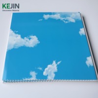 Panel de Techo de PVC Satinado Azul Cielo, Diseño Falso, Tablero de Techo de PVC, Lambris de PVC, Faux Plafond, Tiras de Techo