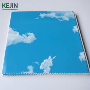Panel <span class=keywords><strong>de</strong></span> Techo <span class=keywords><strong>de</strong></span> <span class=keywords><strong>PVC</strong></span> Satinado Azul <span class=keywords><strong>Cielo</strong></span>, Diseño Falso, Tablero <span class=keywords><strong>de</strong></span> Techo <span class=keywords><strong>de</strong></span> <span class=keywords><strong>PVC</strong></span>, Lambris <span class=keywords><strong>de</strong></span> <span class=keywords><strong>PVC</strong></span>, Faux Plafond, Tiras <span class=keywords><strong>de</strong></span> Techo - Product Image 3