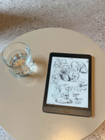 Lector Electrónico Eink con Protección Ocular, Pantalla Grande de 7.8 Pulgadas Onyx BOOX Nova3 con OTG, Compatible con Google Play para Instalar Aplicaciones de Terceros