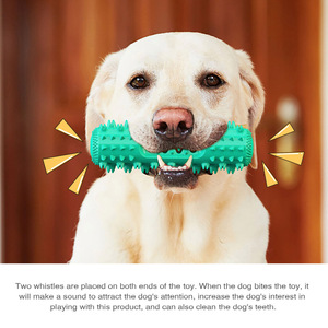 Green Plastic <b>Dog</b> Chewing Toy with Spikes and Teeth Cleaning Feature for <b>Dogs</b> - Product Image 6