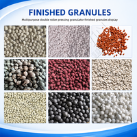 Granulateur à rouleaux pour engrais, machine de granulation NPK pour chlorure de potassium et sulfate d'ammonium