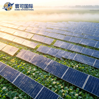Kit Pemasangan Panel Surya Agrivoltaik Komersial untuk Pertanian, Kompatibel dengan Sistem Racking PV untuk Proyek Surya Skala Besar