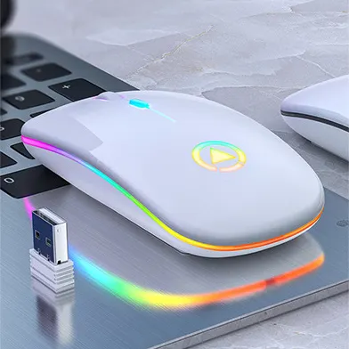 Ratón Usb recargable para juegos, Mouse inalámbrico silencioso con luces LED de colores, con logotipo personalizado, nuevo
