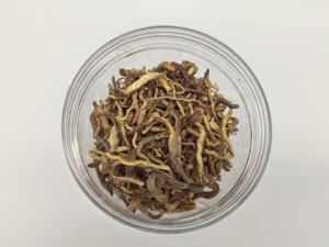 पालतू भोजन के लिए सूखे मिट्टी के कीड़े को फ्रीज करें - Product Image 3