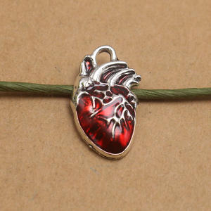 Émail Coeur Humain Organe Porte-clés Charme Science Médecine Anatomique Pendentif Biologie DIY Boucle D'oreille Collier Fabrication de Bijoux Trouver - Product Image 3