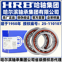 Rodamiento de bolas de contacto angular Hrb 7318 7319 7320 Cta Acta P5 Db Dt Df de una hilera con holgura C3