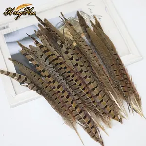 High Quality 15-20cm Dyed Ringneck Pheasant Feather for Stage Carnival Pheasant Feather Tail or Costumes