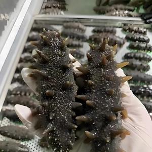 خيار البحر الأسود المجمد عالي الجودة من الصين، متوفر بالجملة، خالٍ من الدهون المتحولة، معبأ بالتفريغ الهوائي، يعزز المناعة - Product Image 3