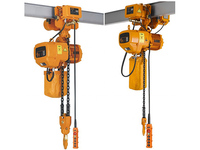 Palans électriques à chaîne personnalisables de marque Weihua Crane, capacités de 1, 2, 3, 5, 10 et 20 tonnes