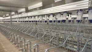 Lồng nuôi lợn thép mạ kẽm-tiếp cận cho ăn tiện dụng | thiết bị trang trại chăn nuôi lợn bền - Product Image 2