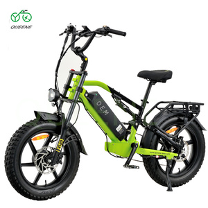 Bicicleta de Montaña Personalizada QUEENE de 20 Pulgadas con Neumáticos Gruesos, Motor Trasero de Aluminio con Suspensión Completa, 20Ah - Product Image 3