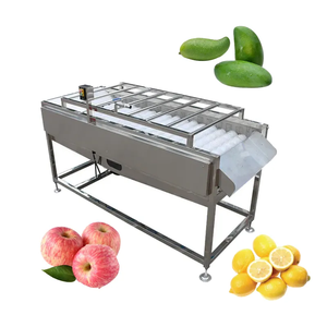 Lavadora de Frutas y Verduras de Alta Presión con Rodillo de Cepillado y Pulverización, Acero Inoxidable 304, 220/380V, Modelo LG-BCL4000 - Product Image 4