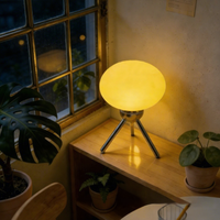 Lampe de bureau LED flexible à économie d'énergie, blanc chaud, abat-jour en verre, alimentation électrique DC, mini format, pour salle de lecture et scénarios haut de gamme