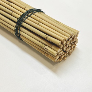 <span class=keywords><strong>Caña</strong></span> <span class=keywords><strong>de</strong></span> Bambú Tonkin Natural <span class=keywords><strong>de</strong></span> 12FT, 14FT, 17FT <span class=keywords><strong>de</strong></span> Longitud, Pared <span class=keywords><strong>Gruesa</strong></span>, Soporte para Plantas, Poste <span class=keywords><strong>de</strong></span> Bambú para Jardinería y Agricultura - Product Image 2