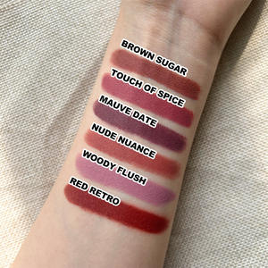 Groothandel Lipstick Private Label Matte Lipstick Biologische Luxe Lippenstift - Product Image 4