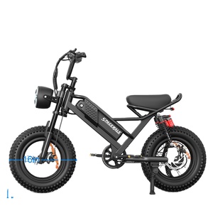 Bicicleta Eléctrica Infantil de 750W con Neumáticos Anchos, Bicicleta Eléctrica de Montaña, Venta al por Mayor en Almacén de EE. UU., Mini Bicicleta Eléctrica para Niños, Lista para Dropshipping - Product Image 1