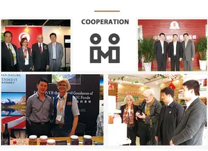 OEM/ODM 개인 상표 유기농 은행 나무 <span class=keywords><strong>Biloba</strong></span> 추출물 10:1 허브 보충 은행 나무 <span class=keywords><strong>Biloba</strong></span> 추출물 분말 - Product Image 5