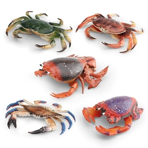 Modelo de Cangrejo Marino Simulado, Juguetes Cognitivos para Niños, Cangrejo de Tres Ojos, Cangrejo Caballito de Mar, Ranina, Juguetes Decorativos - Product Image 2