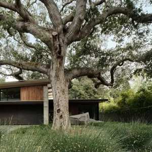 Diseño de Paisajes Sanhai, Maqueta 3D Max de Jardín de Casa, Plano Detallado de Patio Delantero y Trasero, Diseño de Terraza Ecológico - Product Image 1