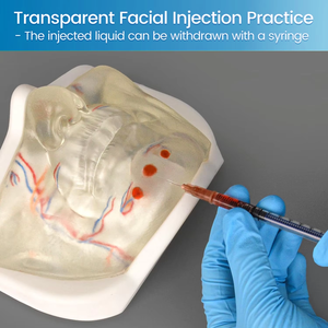Modèle d'entraînement à l'<span class=keywords><strong>injection</strong></span> <span class=keywords><strong>du</strong></span> <span class=keywords><strong>visage</strong></span> inférieur transparent avec des vaisseaux sanguins réalistes pour la procédure esthétique de pratique de remplissage dermique - Product Image 2