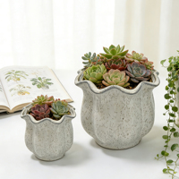 Ensemble de pots à succulentes en céramique créatifs, jolis pots à cactus en porcelaine pour la décoration intérieure, balcon, bureau, vente flash