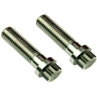 M5 M6 M7 M10 ASTM A193 A914 B8 B8M B8T ASTM A453 GR660 A286 18-8 polissage uni noir fini 12 points boulon à tête de bride