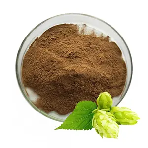 Bulk 100% Natural Soap Bark Extract Quillaja Saponaria Bark Extract Powder