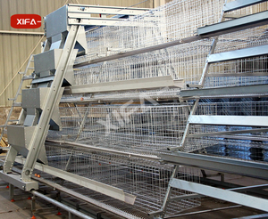 Jaulas de <span class=keywords><strong>pollos</strong></span> <span class=keywords><strong>para</strong></span> pollitos de un día - Product Image 5