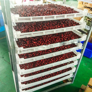 Ruang kering diskon herba pengering Oven panas pengering udara dan dehidrator untuk pemrosesan makanan dengan komponen inti pompa PLC mesin - Product Image 4