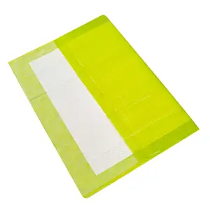 Miễn phí Mẫu 60x90 tổng khô giường Pad Điều dưỡng nhà Bệnh viện Y tế underpads thấm không kiểm soát miếng lót dùng một lần underpad