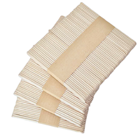 Bâtonnets de crème glacée en bouleau lisse de qualité alimentaire, écologiques, en bois, pour la crème glacée et les créations artisanales, directement de l'usine