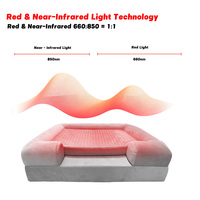 ILUXRED Appareil de Thérapie LED Portable Professionnel pour Animaux de Compagnie, Équipement Vétérinaire de Thérapie par Lumière Rouge et Proche Infrarouge, Fourniture d'Usine
