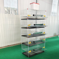 Cages à cailles de type H en treillis métallique de qualité supérieure pour la production d'œufs – Cages en batterie à 6 niveaux pour la vente