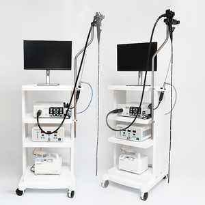 Endoscopio Veterinario a Basso Costo, Telecamera per Endoscopia Gastrointestinale, Prezzo Macchina per Colonscopia Canina - Product Image 6