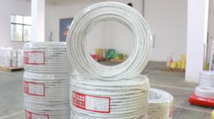 Câblage de bâtiment en PVC de cuivre blanc 2 noyaux 3 noyaux Câbles BVVB Fil <span class=keywords><strong>rigide</strong></span> gainé Câble électrique domestique - Product Image 3