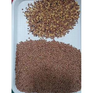 เครื่องคัดแยกสีด้วยกล้องสำหรับข้าว ถั่วลิสง ถั่วต่างๆ เมล็ดกาแฟ - Product Image 4