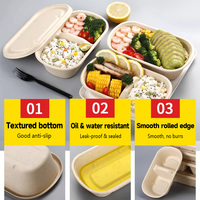 Couvercle de boîte à lunch en pulpe de canne à sucre |   Emballage jetable compostable, anti-fuite, résistant à l'huile, compatible micro-ondes, sans PFAS, sans BPA, pour plats à emporter