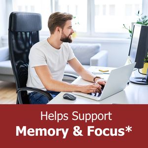 Хит продаж, экстракт грибов шиитаке, укрепляет память грибов Львиная Грива - Product Image 6